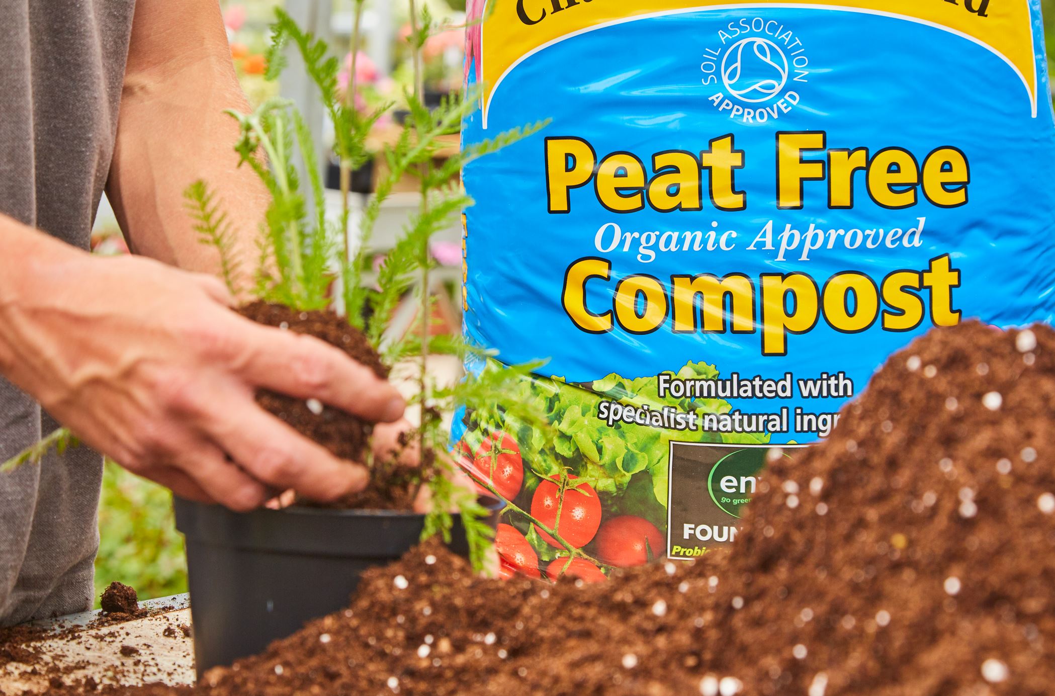 Bathgate Champions Peat Free Compost